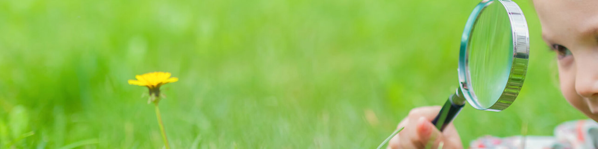 headerimage-hsk-3-1
